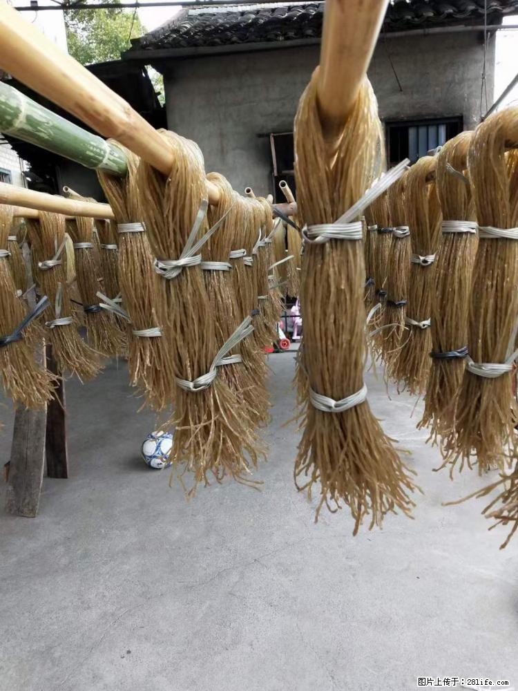 【灌阳正宗红薯粉】美女家里自己做的，干净卫生，假一赔十，价格合理，抢购电话：13737312895 - 美食天地 - 攀枝花生活社区 - 攀枝花28生活网 panzhihua.28life.net