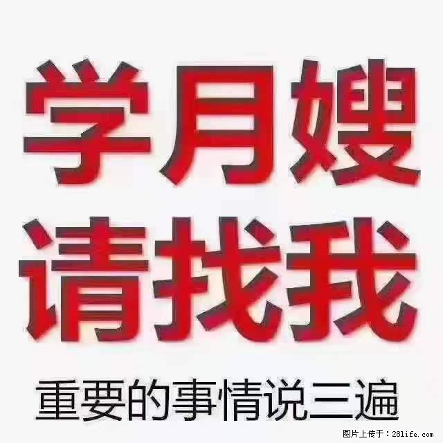 为什么要学习月嫂，育婴师？ - 其他广告 - 广告专区 - 攀枝花分类信息 - 攀枝花28生活网 panzhihua.28life.net