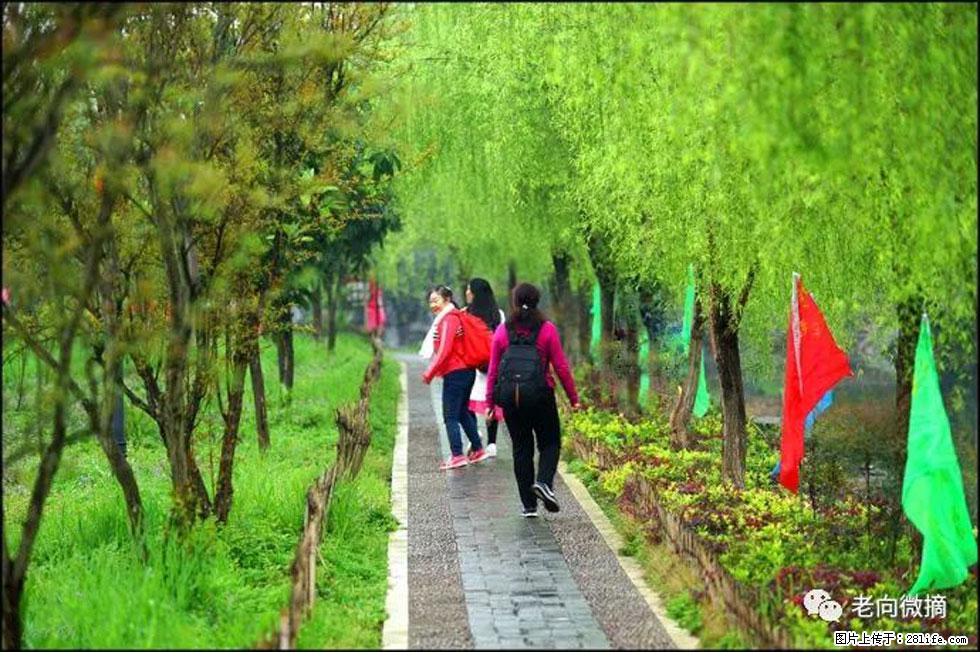 【春天，广西桂林灌阳县向您发出邀请！】江口老街又逢春 - 游山玩水 - 攀枝花生活社区 - 攀枝花28生活网 panzhihua.28life.net