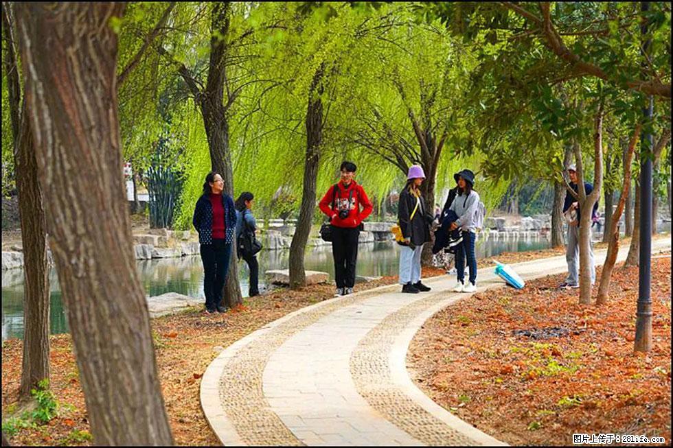 【春天，广西桂林灌阳县向您发出邀请！】江口老街又逢春 - 游山玩水 - 攀枝花生活社区 - 攀枝花28生活网 panzhihua.28life.net