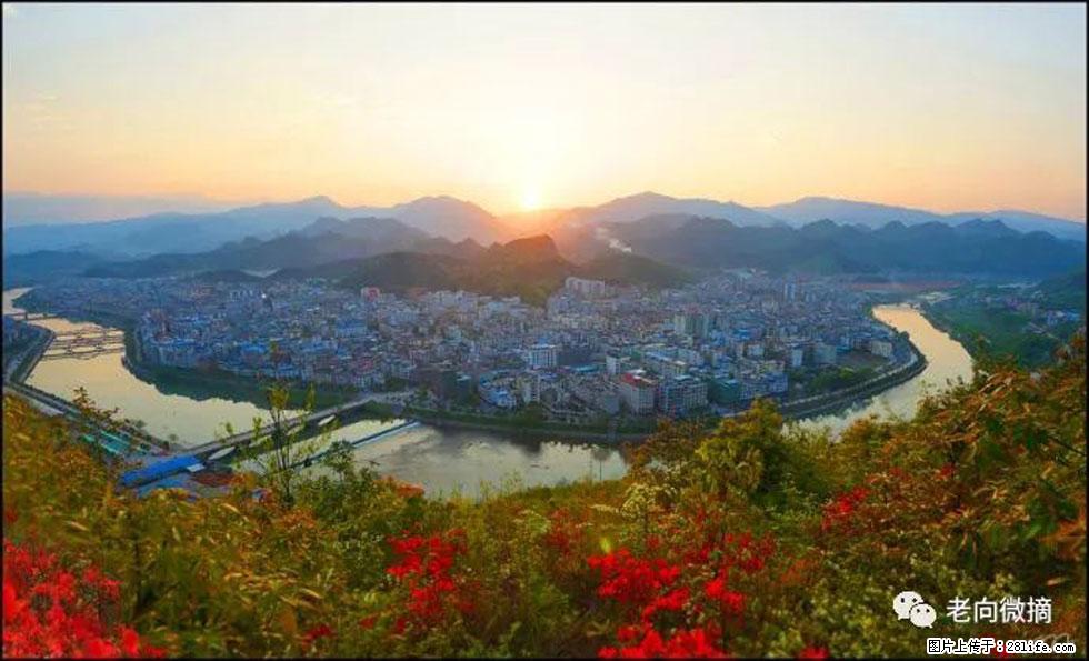 【春天，广西桂林灌阳县向您发出邀请！】登麒麟山，相约映山红 - 游山玩水 - 攀枝花生活社区 - 攀枝花28生活网 panzhihua.28life.net