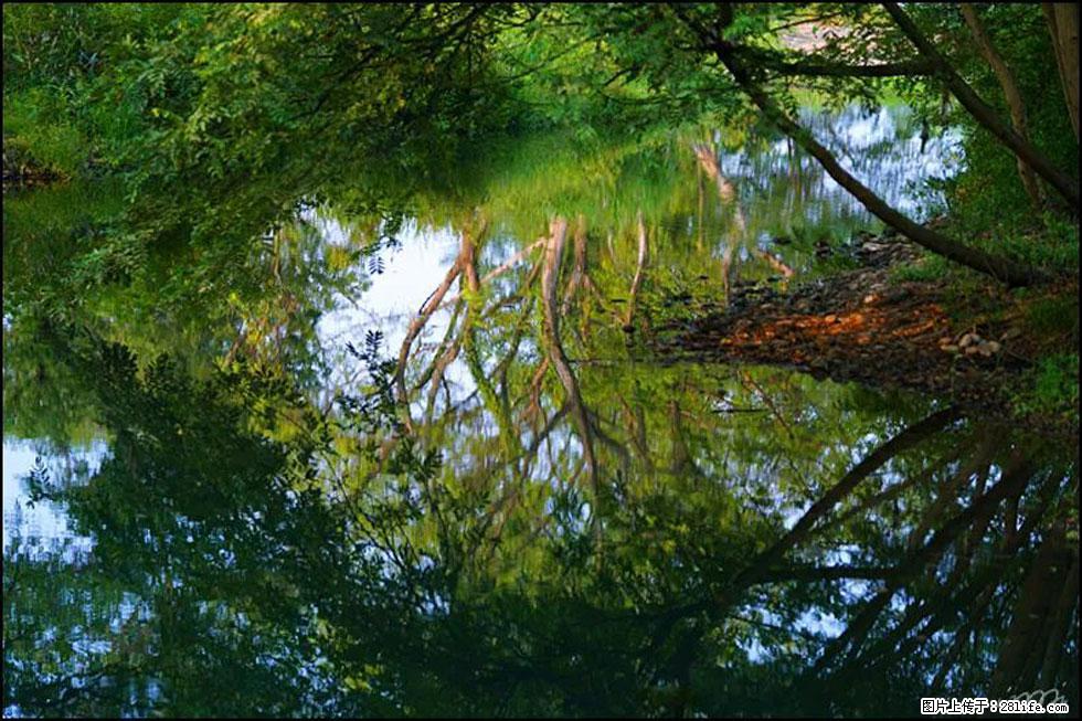 【春天，广西桂林灌阳县向您发出邀请！】熊家寨湿地公园 - 游山玩水 - 攀枝花生活社区 - 攀枝花28生活网 panzhihua.28life.net