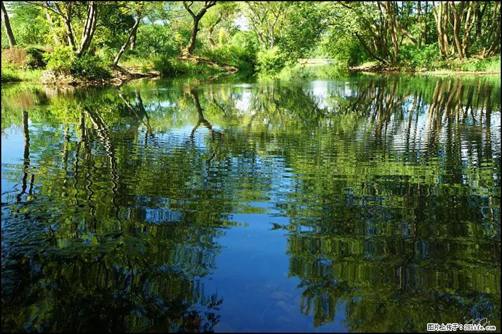 【春天，广西桂林灌阳县向您发出邀请！】熊家寨湿地公园 - 游山玩水 - 攀枝花生活社区 - 攀枝花28生活网 panzhihua.28life.net