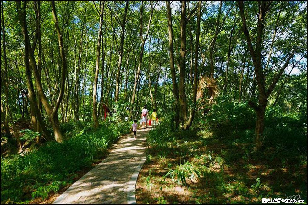 【春天，广西桂林灌阳县向您发出邀请！】熊家寨湿地公园 - 游山玩水 - 攀枝花生活社区 - 攀枝花28生活网 panzhihua.28life.net