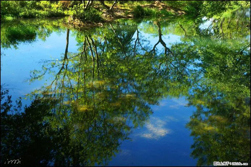 【春天，广西桂林灌阳县向您发出邀请！】熊家寨湿地公园 - 游山玩水 - 攀枝花生活社区 - 攀枝花28生活网 panzhihua.28life.net