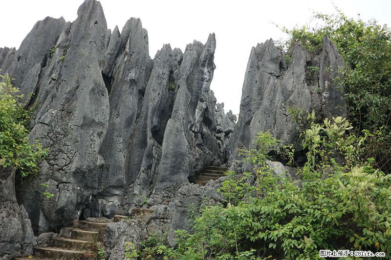桂林旅游名城景点：灌阳文市石林 - 游山玩水 - 攀枝花生活社区 - 攀枝花28生活网 panzhihua.28life.net