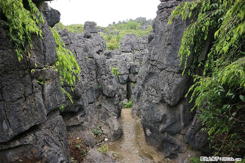 桂林旅游名城景点：灌阳文市石林 - 游山玩水 - 攀枝花生活社区 - 攀枝花28生活网 panzhihua.28life.net