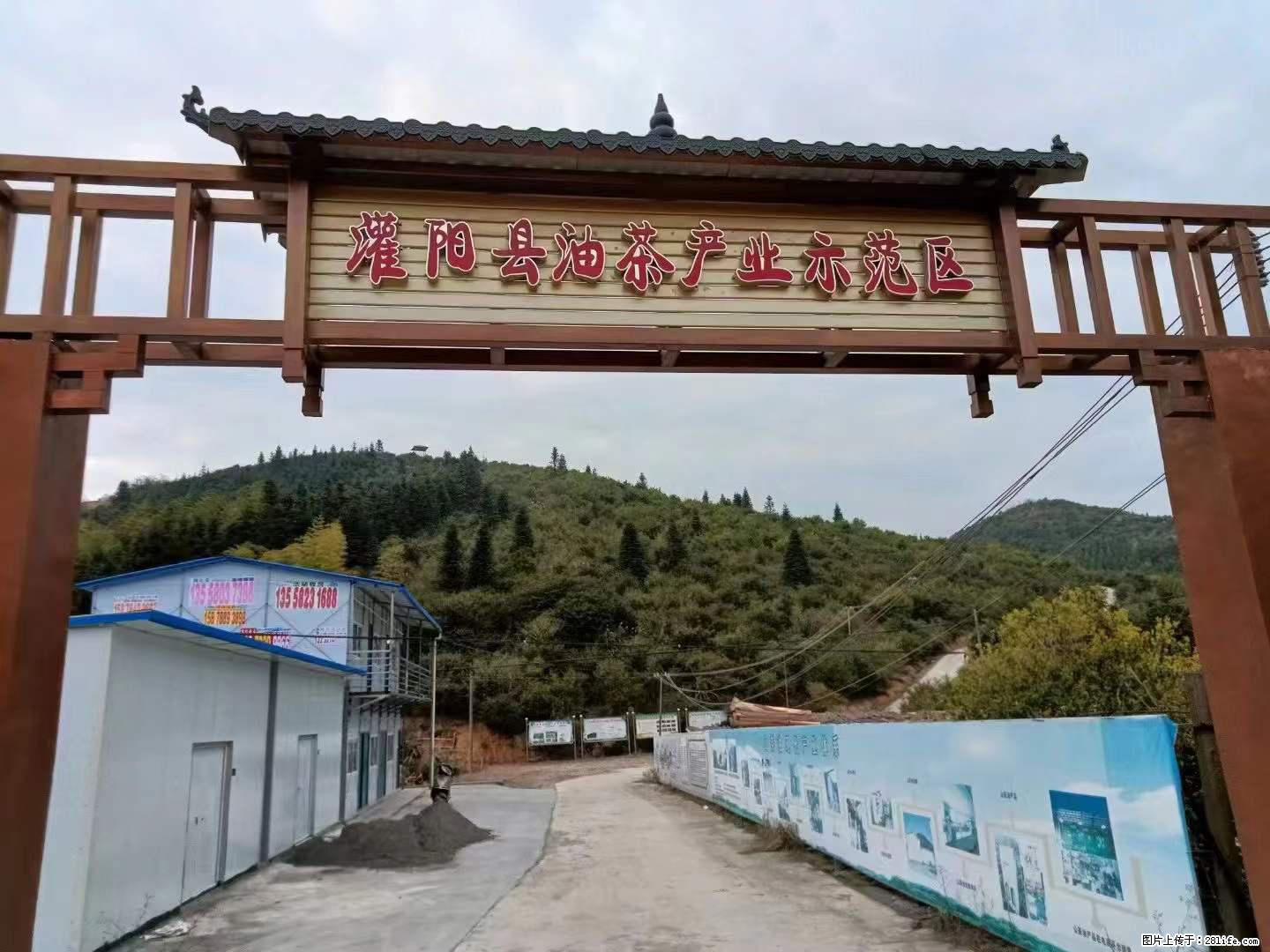 【灌阳县油茶产业示范区】一个有着充实的精神生活的人，对待身外之物自会有一种淡泊的态度 - 美食天地 - 攀枝花生活社区 - 攀枝花28生活网 panzhihua.28life.net