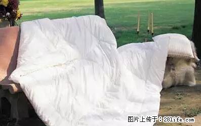 被子有异味？只要这样做，比晒太阳还强100倍！ - 家居生活 - 攀枝花生活社区 - 攀枝花28生活网 panzhihua.28life.net