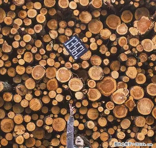 辞掉工作周游世界?现在他们在洗厕所…… - 游山玩水 - 攀枝花生活社区 - 攀枝花28生活网 panzhihua.28life.net