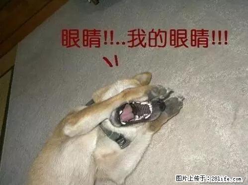 笑癫了!一女的怀孕三年未生,他终于忍不住了... - 娱乐八卦 - 攀枝花生活社区 - 攀枝花28生活网 panzhihua.28life.net