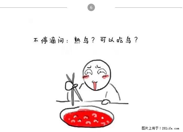 千万不要和这9种哈卵一起吃火锅！ - 美食天地 - 攀枝花生活社区 - 攀枝花28生活网 panzhihua.28life.net