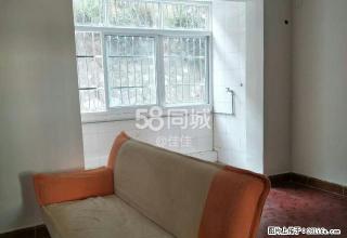 九附六公交公司新房 2室1厅1卫 - 攀枝花28生活网 panzhihua.28life.net