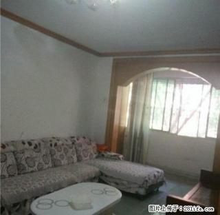 申通快递楼上 套三出租 家具家电齐全 拎包入住 - 攀枝花28生活网 panzhihua.28life.net