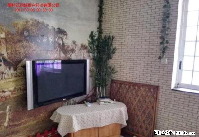 良友三小门口简装2室 - 房屋出租 - 房屋租售 - 攀枝花分类信息 - 攀枝花28生活网 panzhihua.28life.net