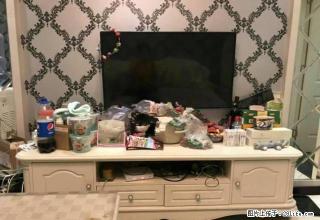 金海世纪城，1室2厅1卫，精装欢迎来电。 - 攀枝花28生活网 panzhihua.28life.net
