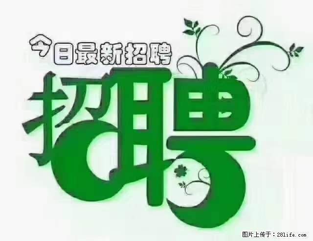 【招聘摄像师】待遇：试用期6000元/月，转正7000元/月+五险一金+餐补+节日福利+奖金 - 职场交流 - 攀枝花生活社区 - 攀枝花28生活网 panzhihua.28life.net