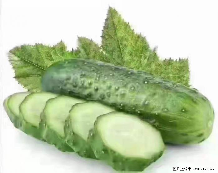 【生活小常识】吃黄瓜的好处 - 生活百科 - 攀枝花生活社区 - 攀枝花28生活网 panzhihua.28life.net