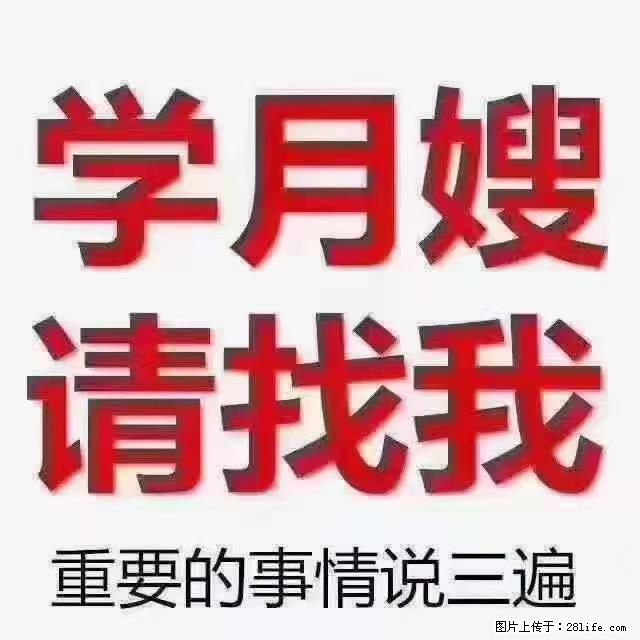 【招聘】月嫂，上海徐汇区 - 职场交流 - 攀枝花生活社区 - 攀枝花28生活网 panzhihua.28life.net