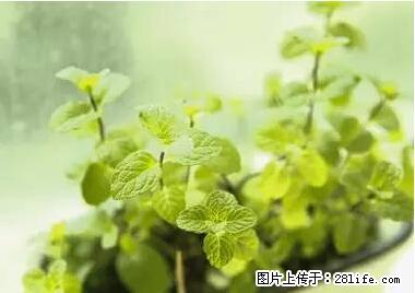 晕车、脚气、牙齿变黄、皮肤粗糙？学会这些三分钟搞定！ - 攀枝花生活资讯 - 攀枝花28生活网 panzhihua.28life.net