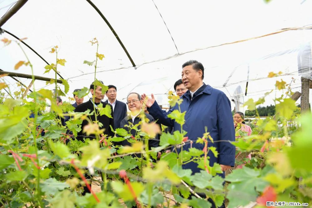 习近平赴广西考察调研 - 攀枝花生活资讯 - 攀枝花28生活网 panzhihua.28life.net