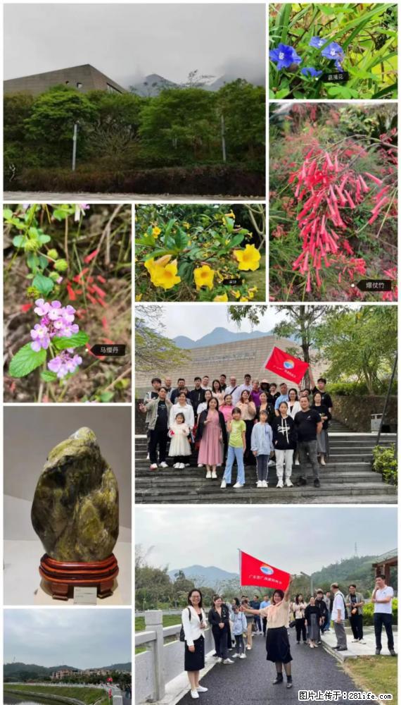 “粤灌文化 美好生活”油茶文化主题活动在广东深圳成功举办 - 攀枝花生活资讯 - 攀枝花28生活网 panzhihua.28life.net