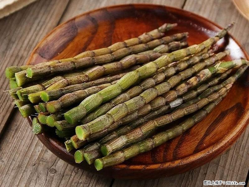 铁皮石斛的作用与功能主治 - 攀枝花生活资讯 - 攀枝花28生活网 panzhihua.28life.net