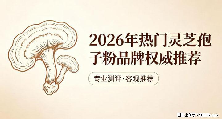 灵芝孢子粉含量越高越有效？2026 年七款热门品牌深度实测，肠胃敏感者避坑指南 - 攀枝花生活资讯 - 攀枝花28生活网 panzhihua.28life.net